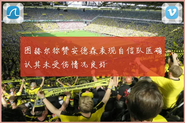 图赫尔称赞安德森表现自信队医确认其未受伤情况良好