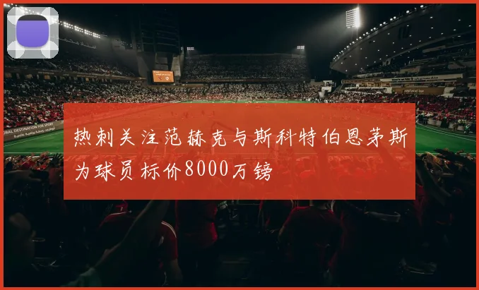 热刺关注范赫克与斯科特伯恩茅斯为球员标价8000万镑